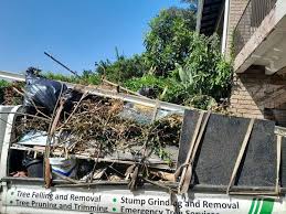 Best Moving and Downsizing Cleanouts  in Pageland, SC